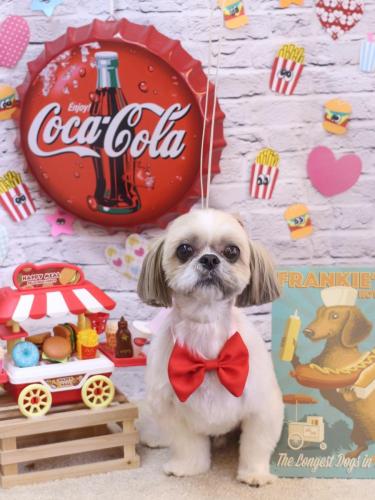 20230910ちょびくん